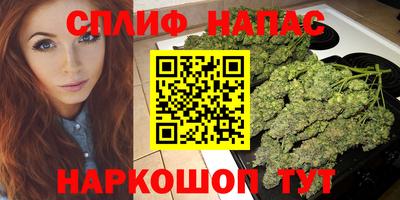 прущие крисы Кингисепп