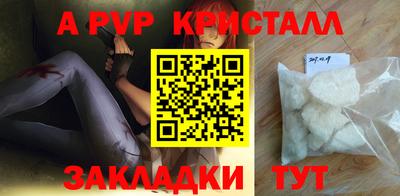 прущие крисы Кингисепп