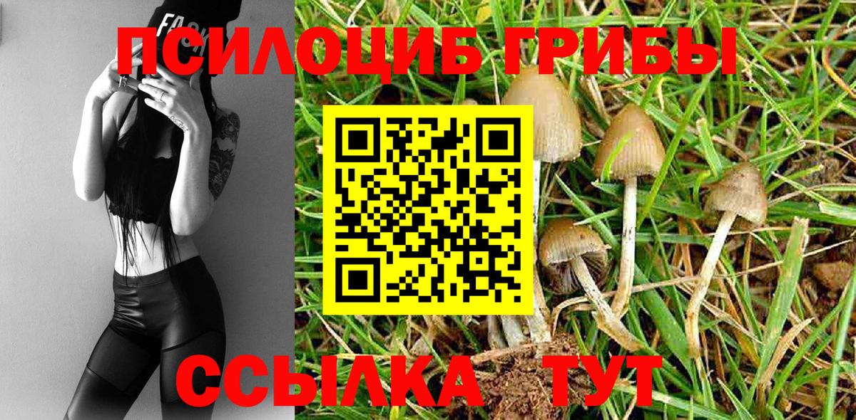 Псилоцибиновые грибы Cubensis  Вход с VPN  Псилоцибиновые грибы GOLDEN TEACHER  Комсомольск-на-Амуре 