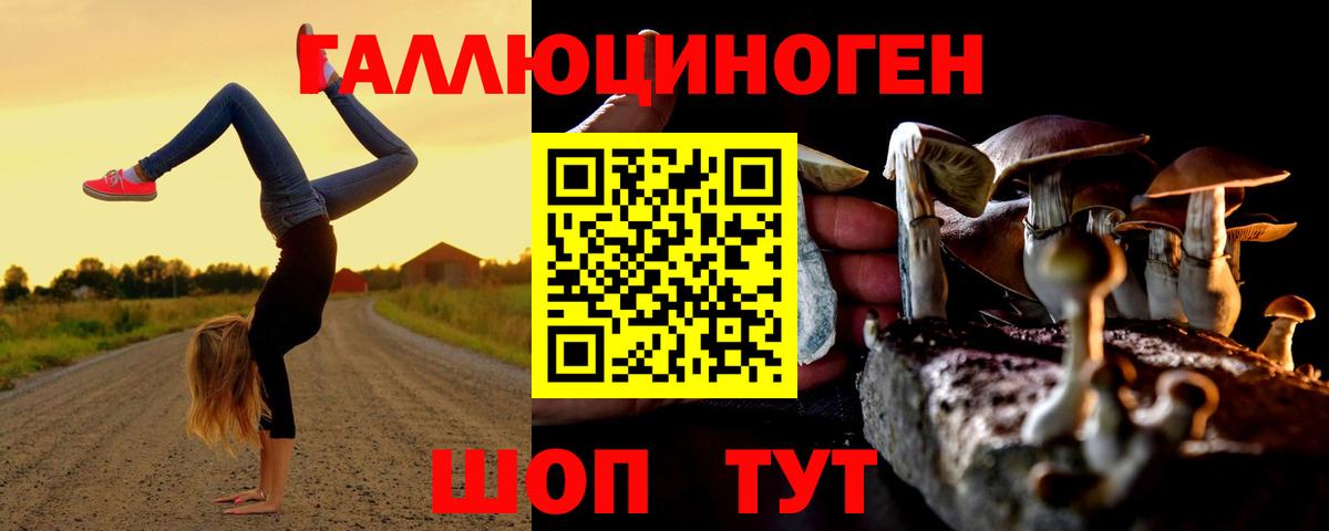 Псилоцибиновые грибы Cubensis Комсомольск-на-Амуре
